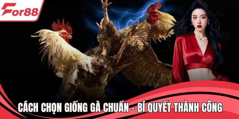 Cách Chọn Giống Gà Chuẩn – Bí Quyết Thành Công Từ FOR88