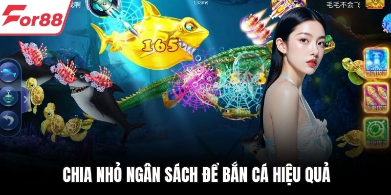 Chia nhỏ ngân sách để bắn cá hiệu quả