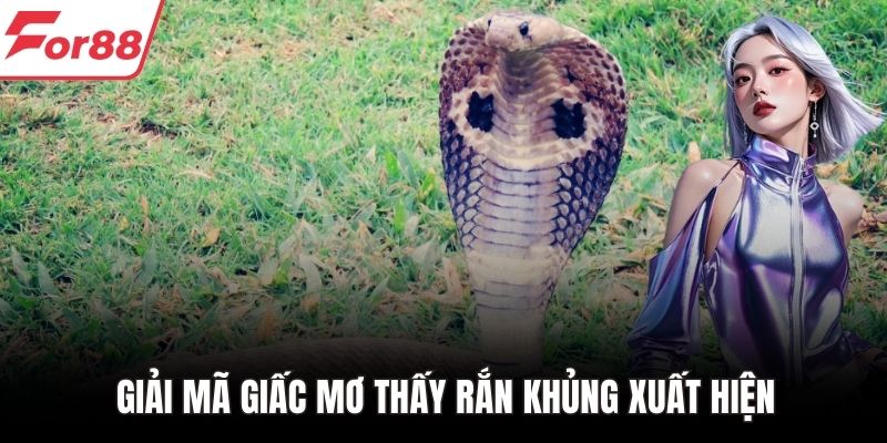Giải mã giấc mơ thấy rắn khủng xuất hiện