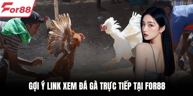Gợi ý link xem đá gà trực tiếp tại FOR88