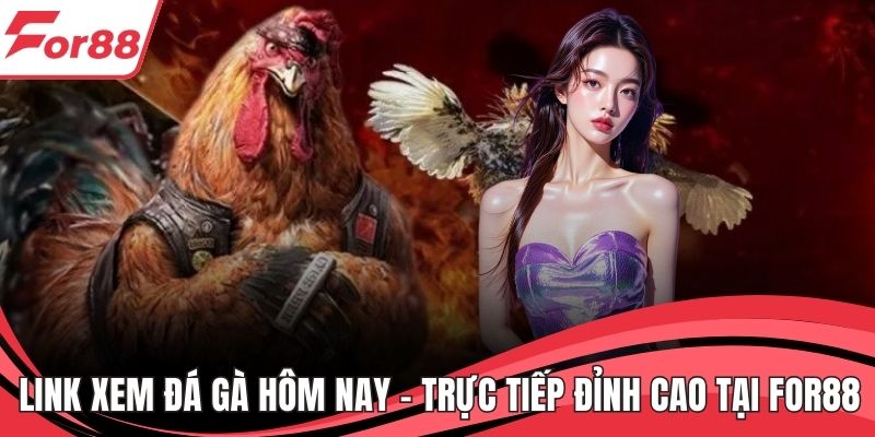 Link Xem Đá Gà Hôm Nay – Trực Tiếp Đỉnh Cao Tại FOR88