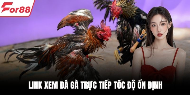 Link xem đá gà trực tiếp tốc độ ổn định