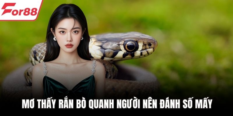 Mơ thấy rắn bò quanh người nên đánh số mấy