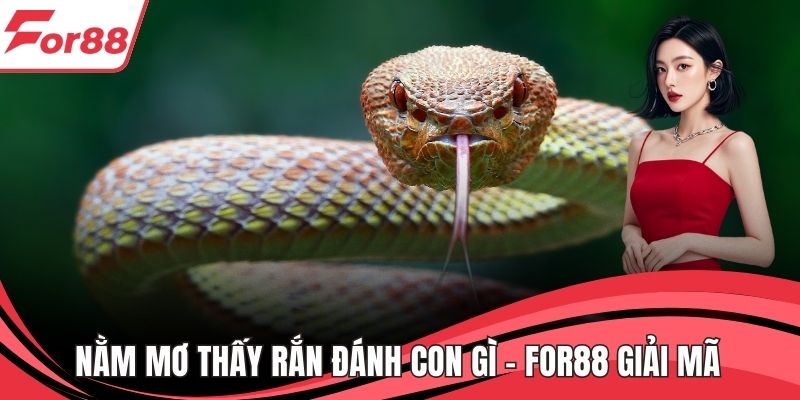 Nằm Mơ Thấy Rắn Đánh Con Gì - FOR88 Giải Mã Chuẩn Xác