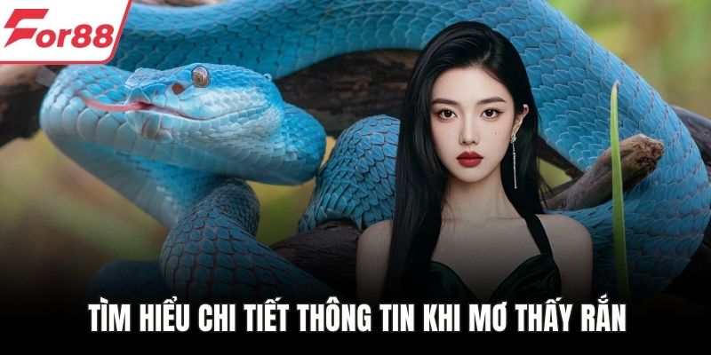 Tìm hiểu chi tiết thông tin khi mơ thấy rắn